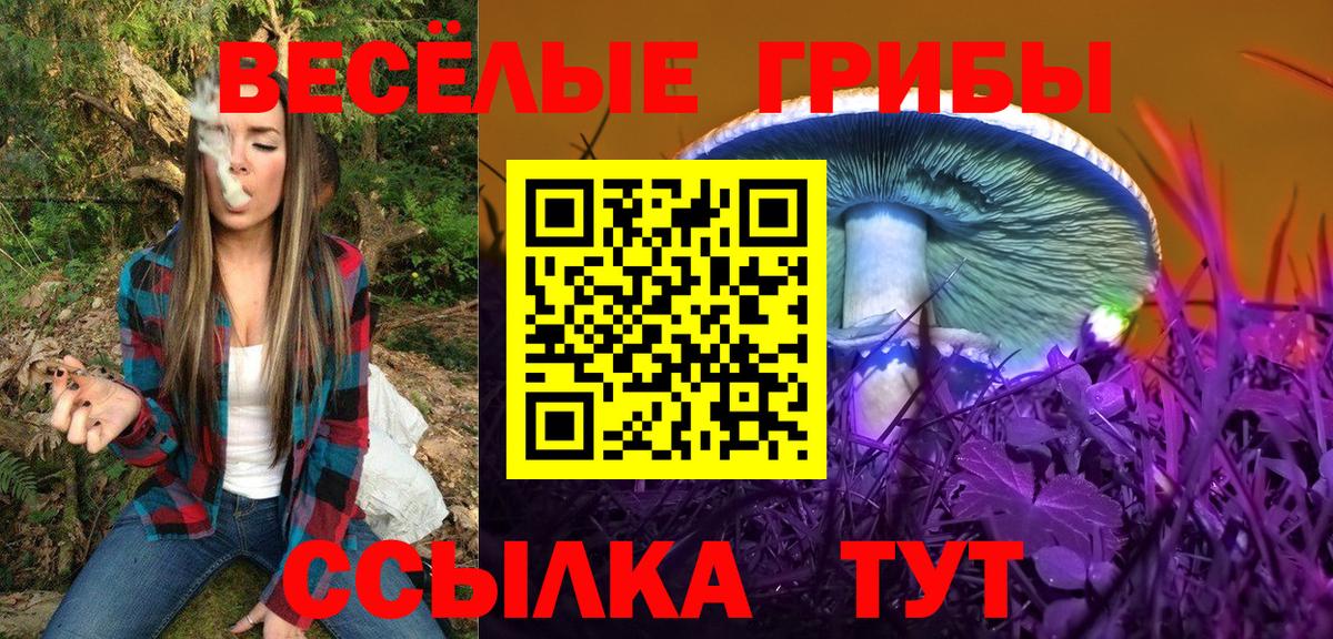 Галлюциногенные грибы GOLDEN TEACHER Гусев