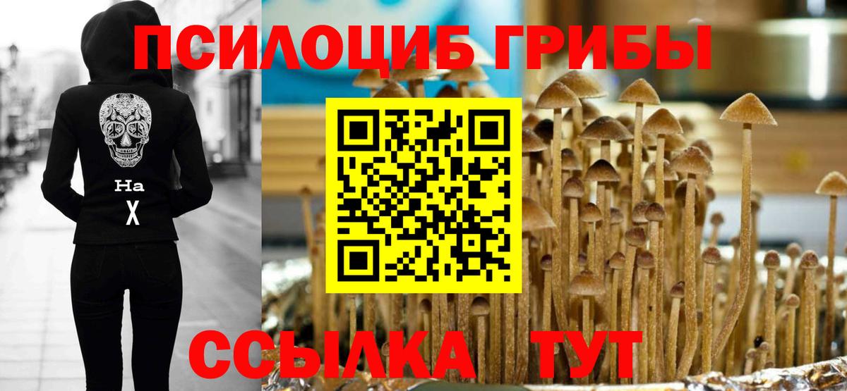 Гусев  Псилоцибиновые грибы ЛСД  Галлюциногенные грибы прущие грибы  Вход с VPN 